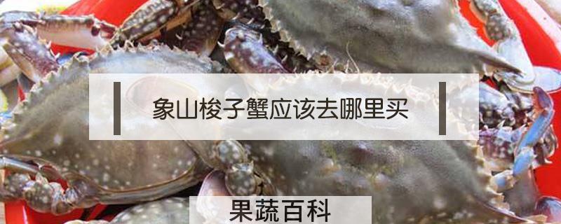 象山梭子蟹应该去哪里买