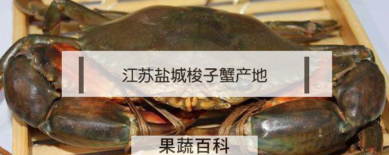 江苏盐城梭子蟹产地
