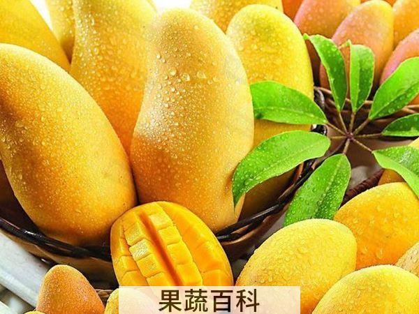 破解你的眩晕状态 吃芒果的好处和坏处