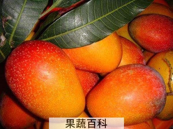 破解你的眩晕状态 吃芒果的好处和坏处