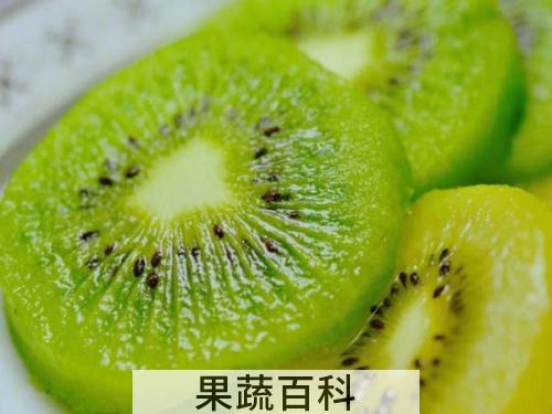 猕猴桃怎么催熟 纯天然无公害窍门
