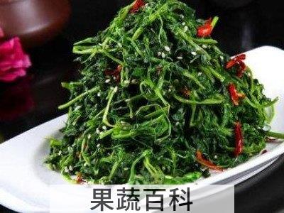 蒲公英生吃有什么功效