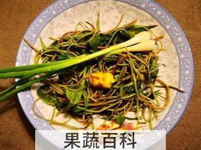 蒲公英生吃有什么功效