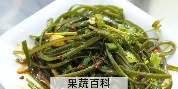 凉菜都有什么菜