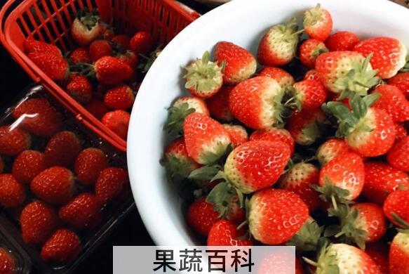 富含维c的水果有哪些