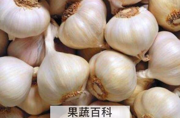 吃生蒜头的好处和坏处