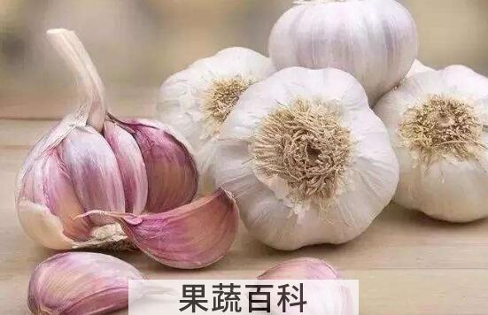 吃生蒜头的好处和坏处