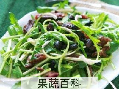 婆婆丁菜的功效与作用 吃婆婆丁菜的禁忌