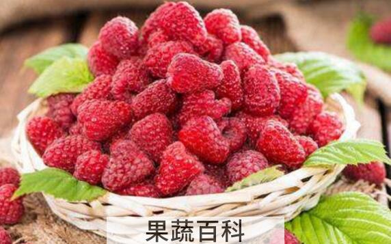树莓和覆盆子的区别