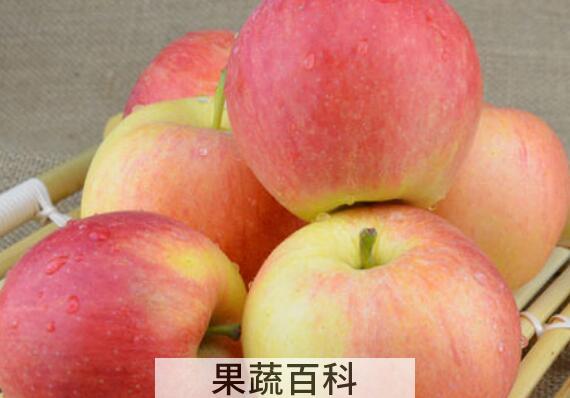 嘎啦和苹果的区别