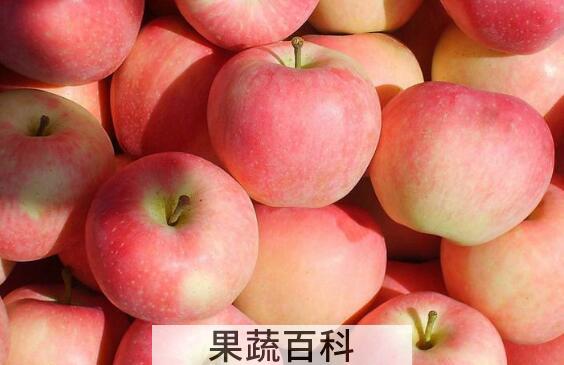 嘎啦和苹果的区别