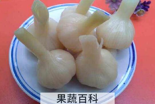糖蒜的功效与作用 吃糖蒜的好处有哪些