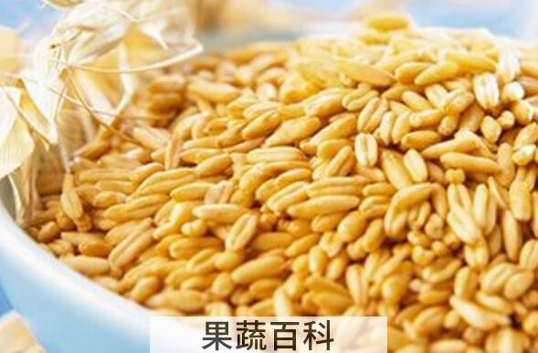 燕麦的功效与作用