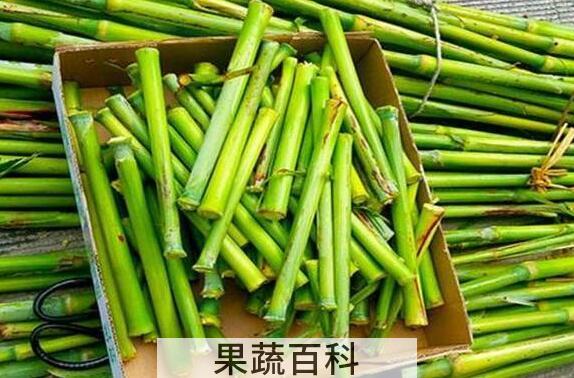甘蔗的功效与作用 吃甘蔗的好处