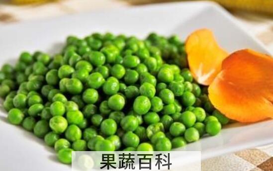 吃青豆的好处与坏处 青豆的营养价值及功效
