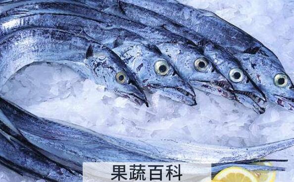 刀鱼的功效与作用及禁忌