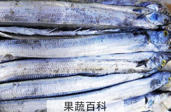 刀鱼的功效与作用及禁忌