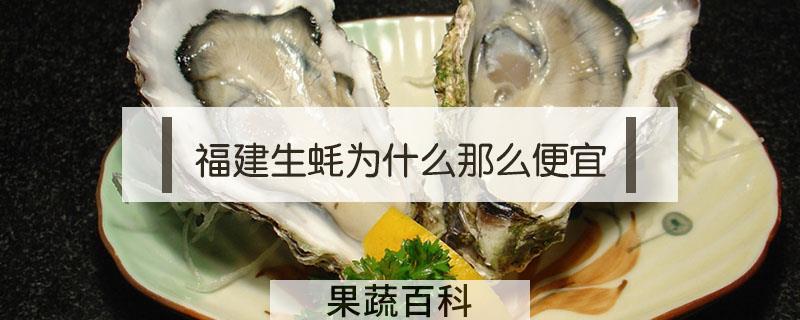 福建生蚝为什么那么便宜