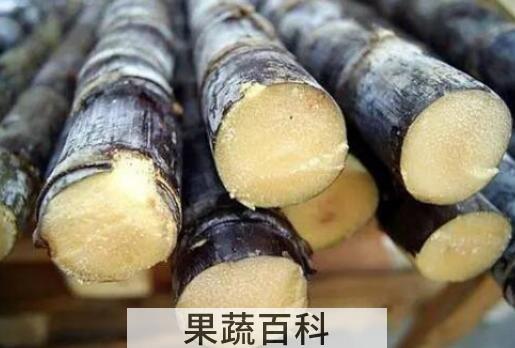 甘蔗怎么吃 甘蔗的食用方法