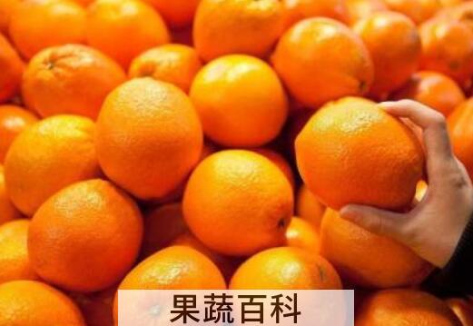橘子和桔子的区别 吃橘子的好处