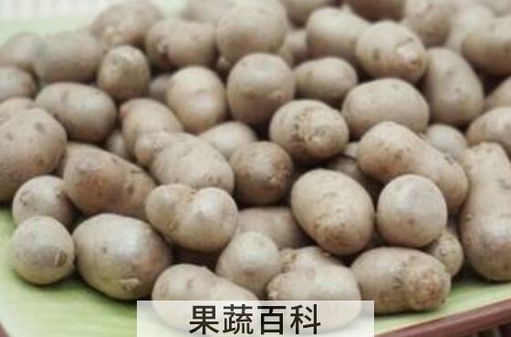 山药豆的功效与作用 吃山药豆的好处