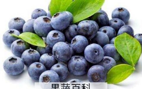 花青素的功效与作用 含花青素的食物有哪些