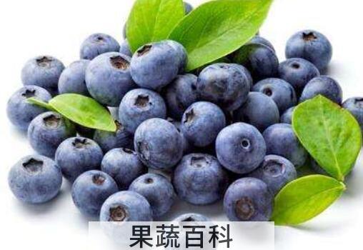 花青素的功效与作用 含花青素的食物有哪些