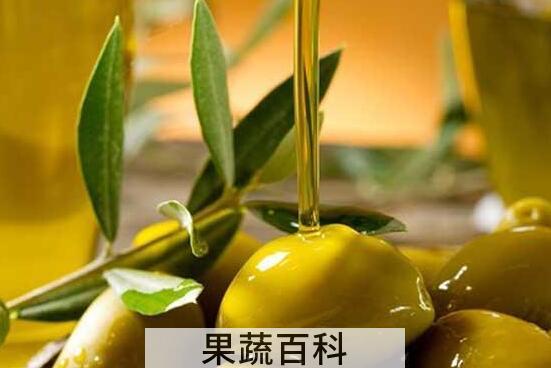 橄榄油有什么用 橄榄油的功效与作用