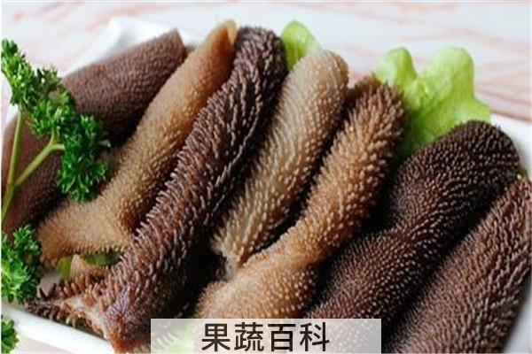 毛肚是什么动物身上的