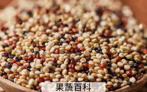黎麦的功效与作用及食用方法