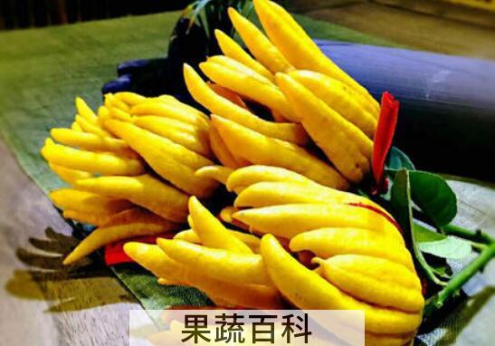 佛手柑怎么吃 佛手柑的常见吃法