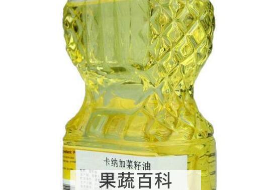 芥花菜籽油的功效与作用