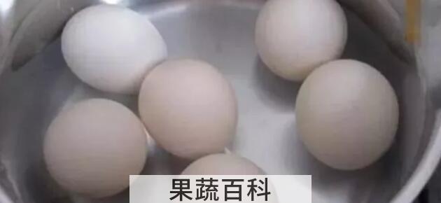 煮鸡蛋开锅几分钟熟