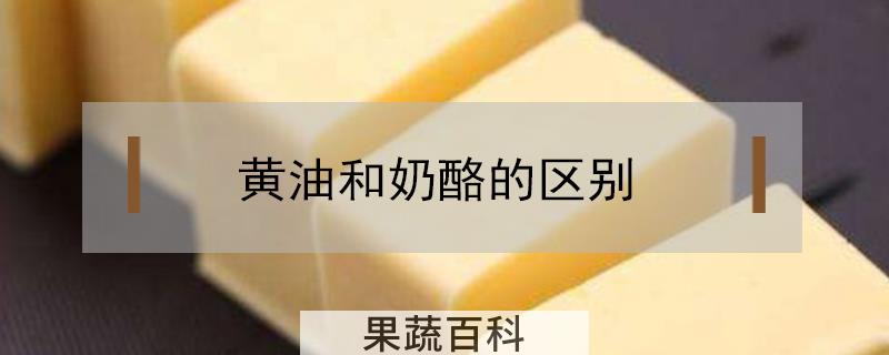 黄油和奶酪的区别