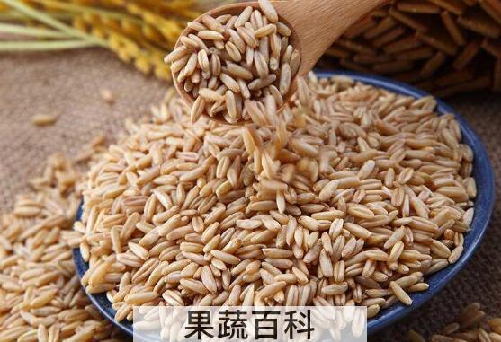 燕麦米怎么煮 燕麦米的家常做法教程