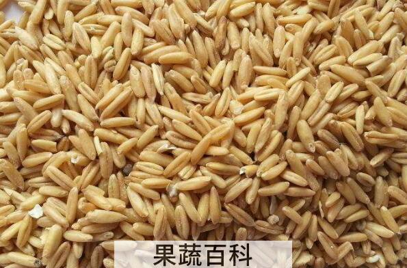 燕麦米怎么煮 燕麦米的家常做法教程