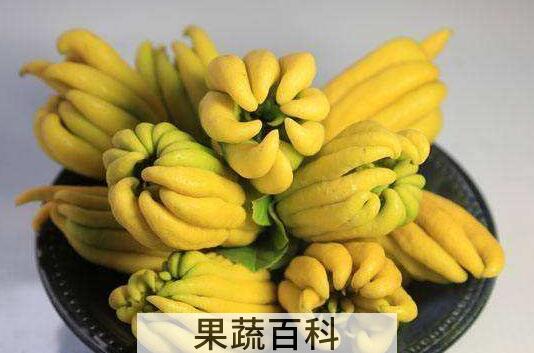 佛手泡水喝的功效与作用