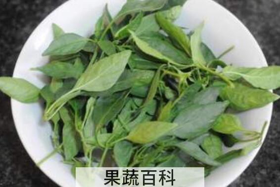 辣椒叶什么人不能吃 辣椒叶的禁忌