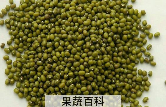 吃绿豆的好处和坏处 绿豆的营养价值