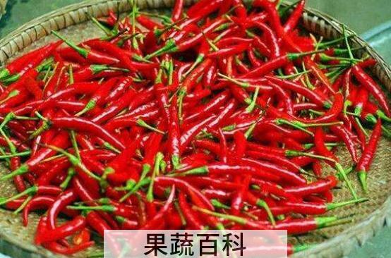 辣椒的功效与作用及禁忌