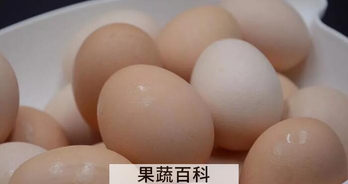 鸡蛋保质期