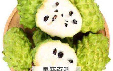 番荔枝和释迦的区别