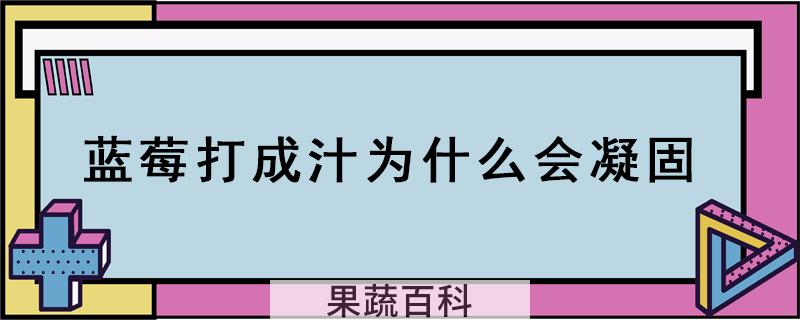 蓝莓打成汁为什么会凝固