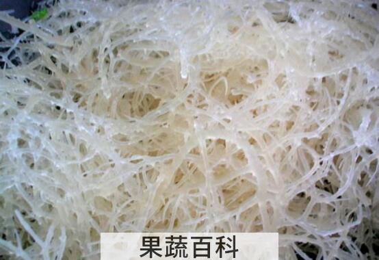 石花菜哪些人不能吃 石花菜的副作用