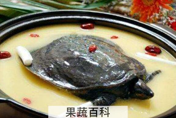 甲鱼油的功效与作用 甲鱼油什么颜色的好