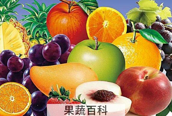 饭后吃水果好不好 饭后多久吃水果比较适合