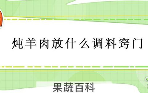 炖羊肉放什么调料窍门