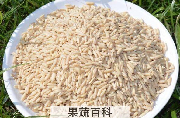 胚芽燕麦米的功效与作用