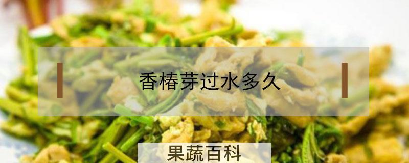 香椿芽过水多久