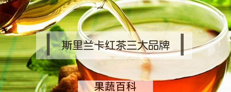 斯里兰卡红茶三大品牌